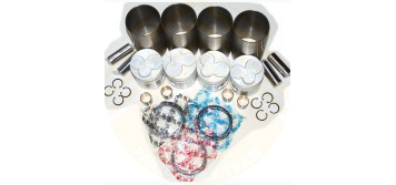 Engine Rebuilt kit&Bearing Set